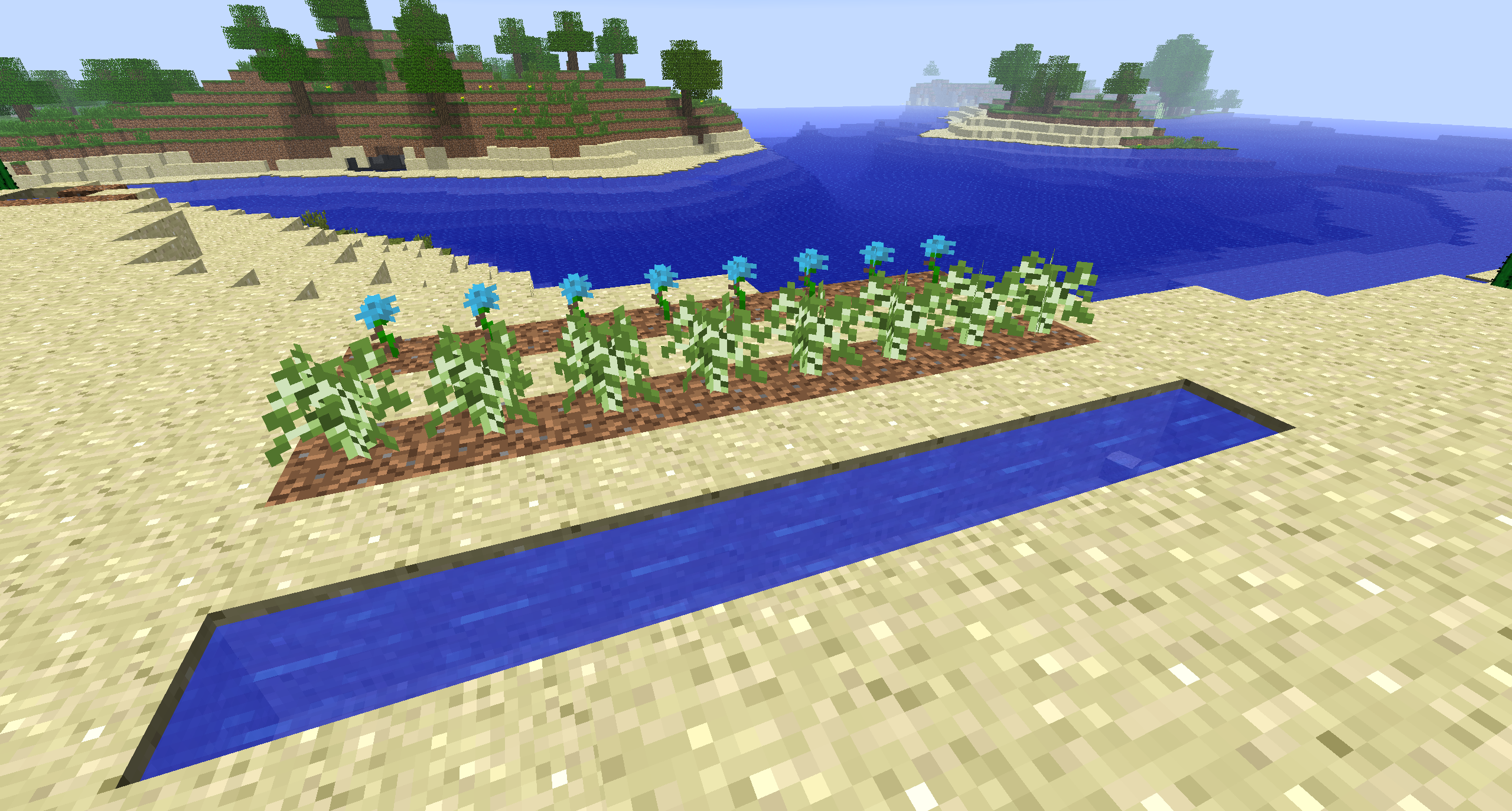 A setup for birch saplings in the Desert
