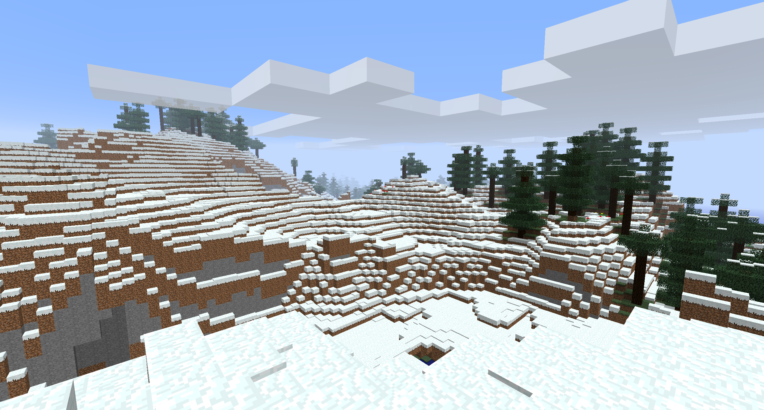 Tall spruce trees in the modified Taiga